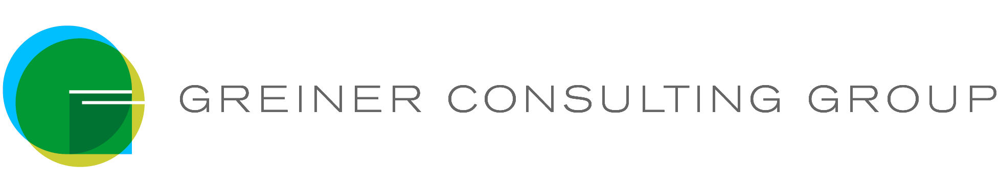 Greiner Consulting Group